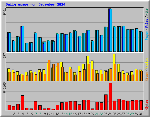 Daily usage for December 2024