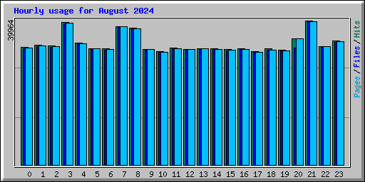 Hourly usage for August 2024