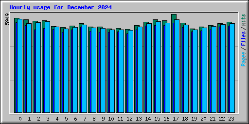 Hourly usage for December 2024