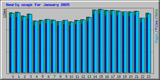 Hourly usage for January 2025