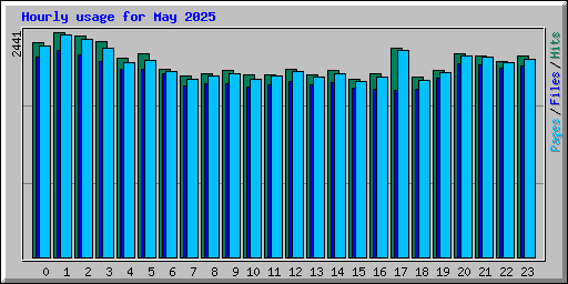 Hourly usage for May 2025