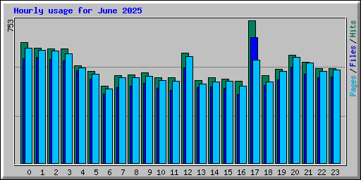 Hourly usage for June 2025
