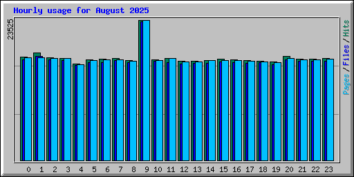 Hourly usage for August 2025