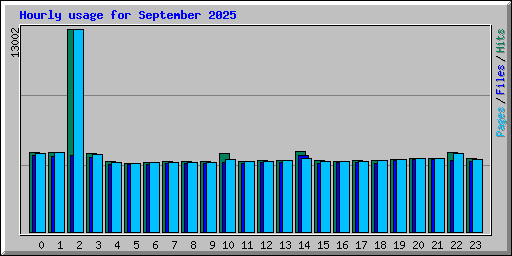 Hourly usage for September 2025
