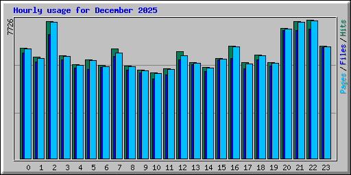 Hourly usage for December 2025