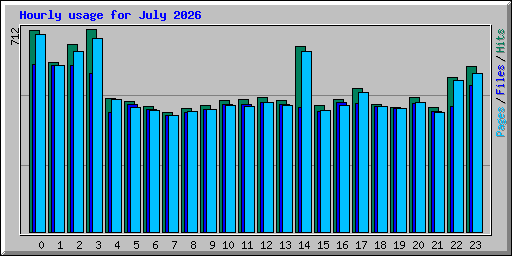 Hourly usage for July 2026